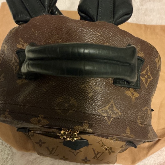 Louis Vuitton Palm Springs PM Backpack main image 4